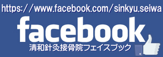 seiwa-facebook.jpg